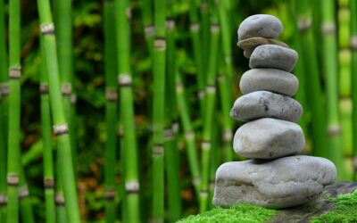 The Power of Regular Practice
